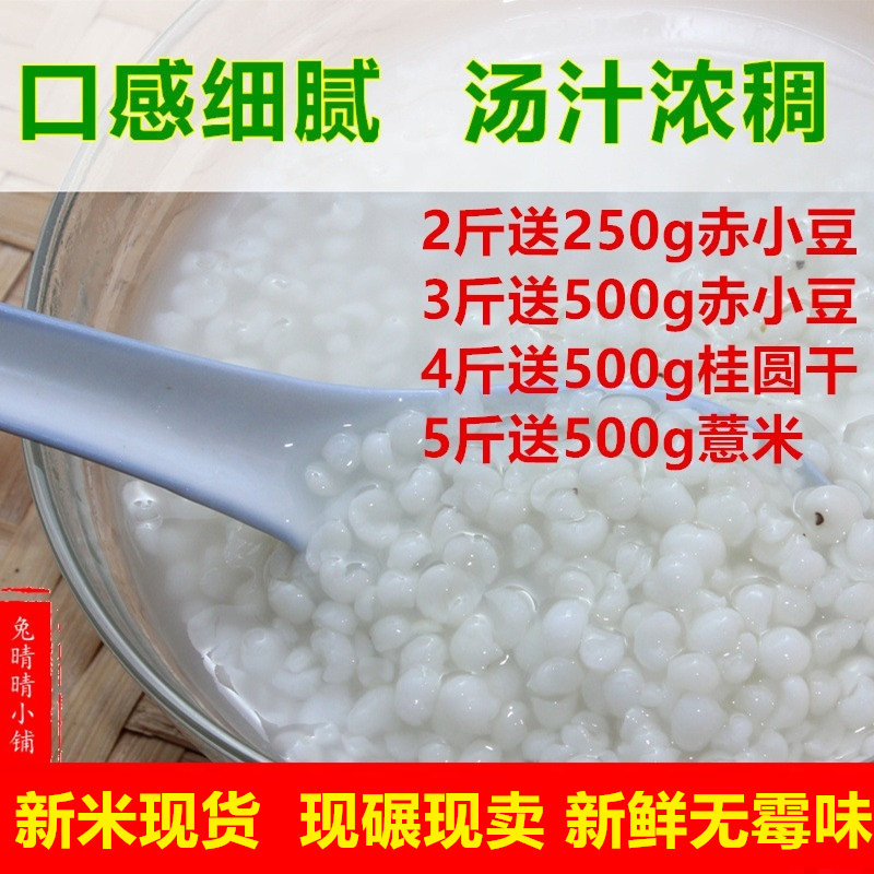 Jinsha small barley Super Fujian coix seed farm self-produced barley rice dehumidified 500g glutinous barley