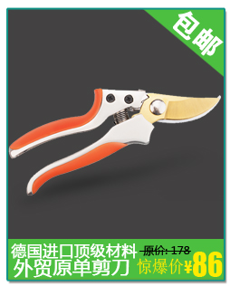 Chọn dụng cụ làm vườn arbutus, hái trái cây cao độ, làm vườn, làm vườn, hái, hái thủ công, hái trái cây, trái cây
