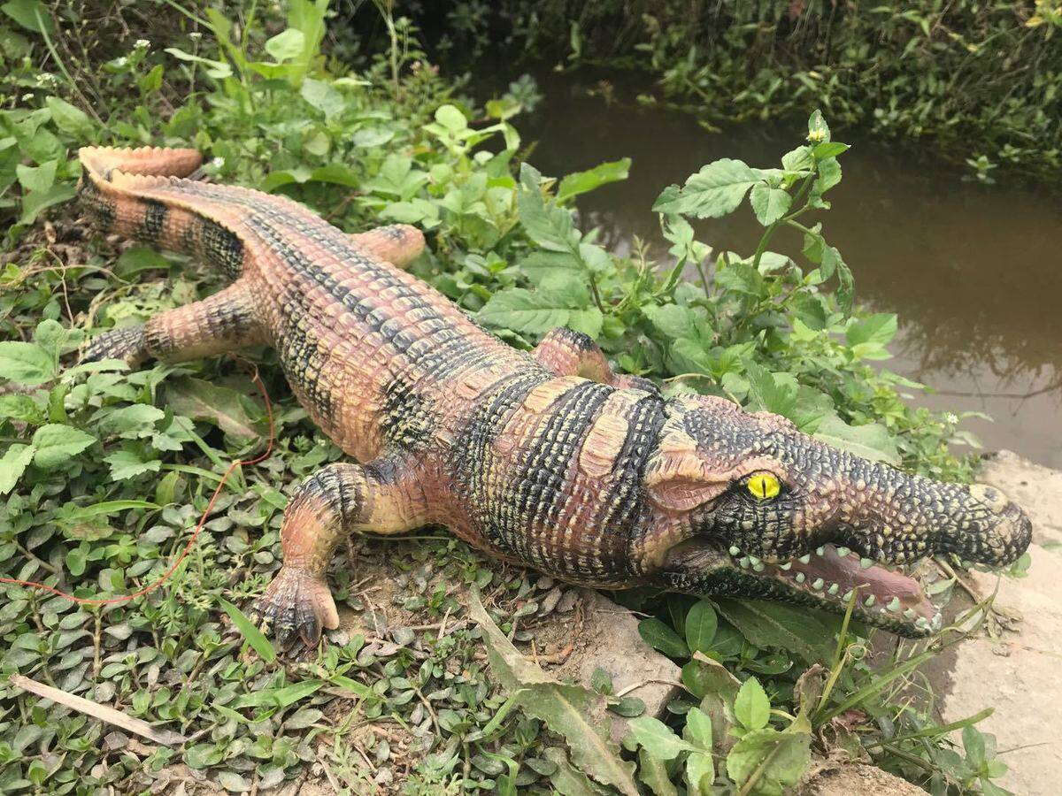 товар из китая 超大号鳄鱼玩具软胶软皮尼罗鳄仿真动物模型认知玩具男礼物7岁8岁 Hikohiro