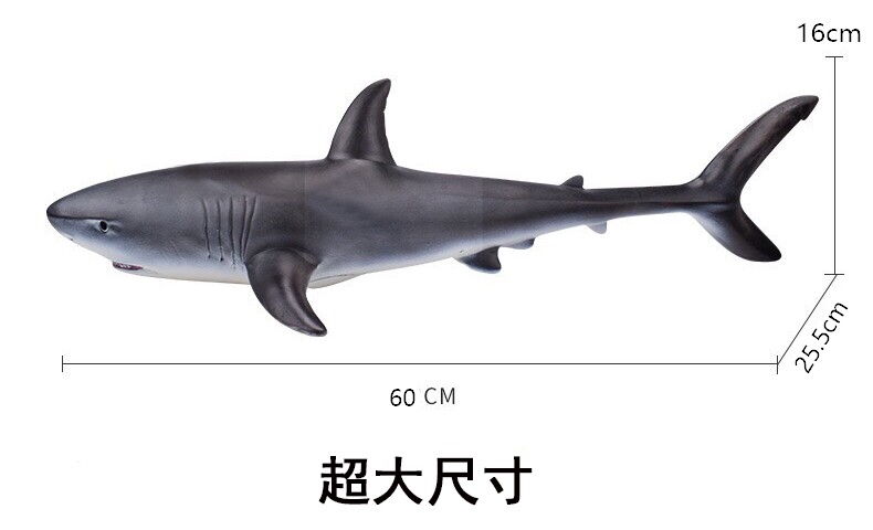 Игрушки-животные 鲨鱼玩具软胶大号大白鲨巨齿鲨仿真海洋动物生物模型海底世界鲨鱼 Hikohiro