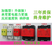 220V 2P 380V 4P Power surge protector 20 40 60 80 100KA Surge protector Arrester