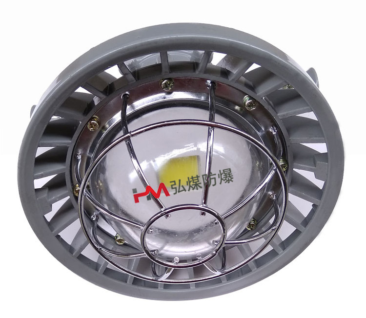 Mining flame-proof laneway lamp DGS24 127L (A) anti-explosion lamp DGS24 127L (A)