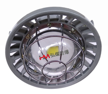 Mining flame-proof laneway lamp DGS24 127L (A) anti-explosion lamp DGS24 127L (A)