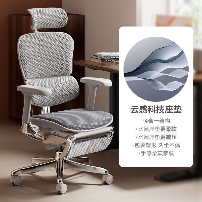 Baoyou Jinhao E2Max/Pro Dual-Mode High-End Ergonomic Chair Computer Office Chair Gaming Chair Memory
