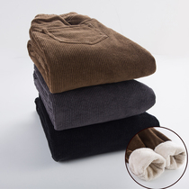 Gush thickened lamp core suede pants female winter straight cylinder loose cotton pants tightness waist large code strip down Harun casual long pants