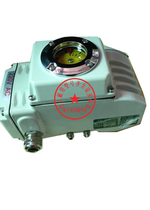 EA-10 Electric Actuator EAE-10 Actuator 100NM EA-5 Ball Valve Butterfly Valve Adjustment Type