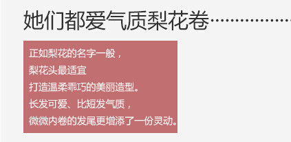 Extension mèches - Ref 219091 Image 11