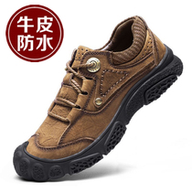 Paul Camel Genuine Leather Soft Bottom Casual Mens Shoes Head Layer Bull Leather Hiking Shoes Hiking Shoes