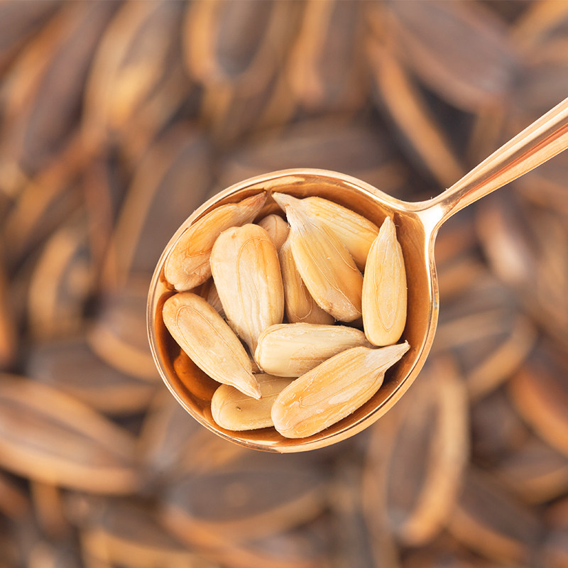 坚果云收费标准全面解析，小白必看，手把手教你省钱绝招！