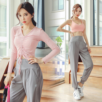 Yoga womens autumn and winter quick-dry beginner running sportswear gym suit loose thin net red long sleeve