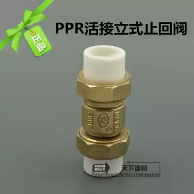 ppr tube all copper vertical check valve ppr head check valve Double Hot melt with spring 20 to 63