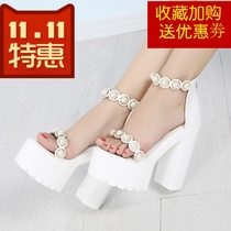 15 Stage Walk Show 16CM Ultra High Heel Rough Heel Strap Sandals Hate Days High Single Shoes Sexy Nightfield Womens Shoes Fine Heels