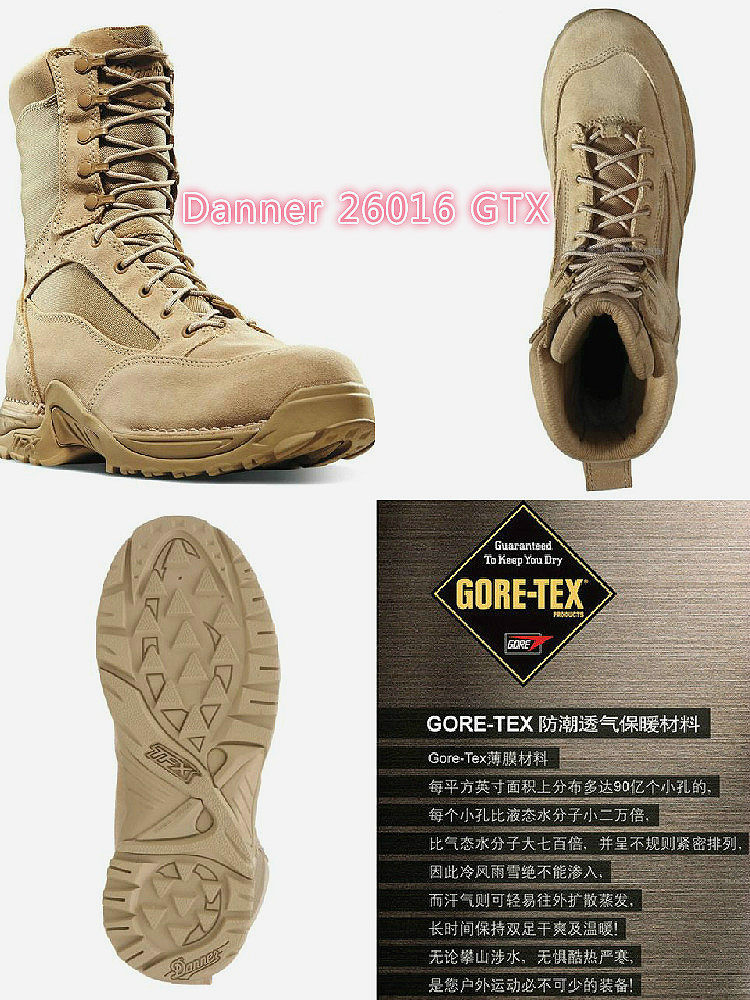 danner desert tfx