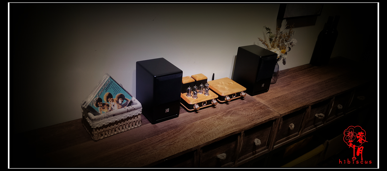 Hibiscus moon 5670 5686 Electronic tube push-pull machine Number sowing mini-suit-Taobao