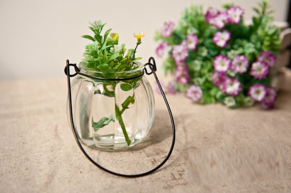 Spike mini treo bình nhỏ chai treo thủy tinh đơn giản Chai treo bằng dây có móc dây thủy canh - Vase / Bồn hoa & Kệ chậu nhựa trắng