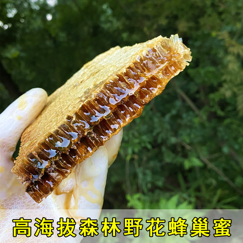 Rare Honey High Altitude Wild Hive Honey Chew on Pure Natural Old Nest Honey Qinling Farmhouse Self-Produced Honey