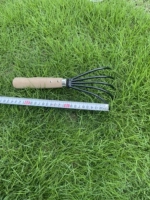 Beach Grape Aerut Rake Short Model
