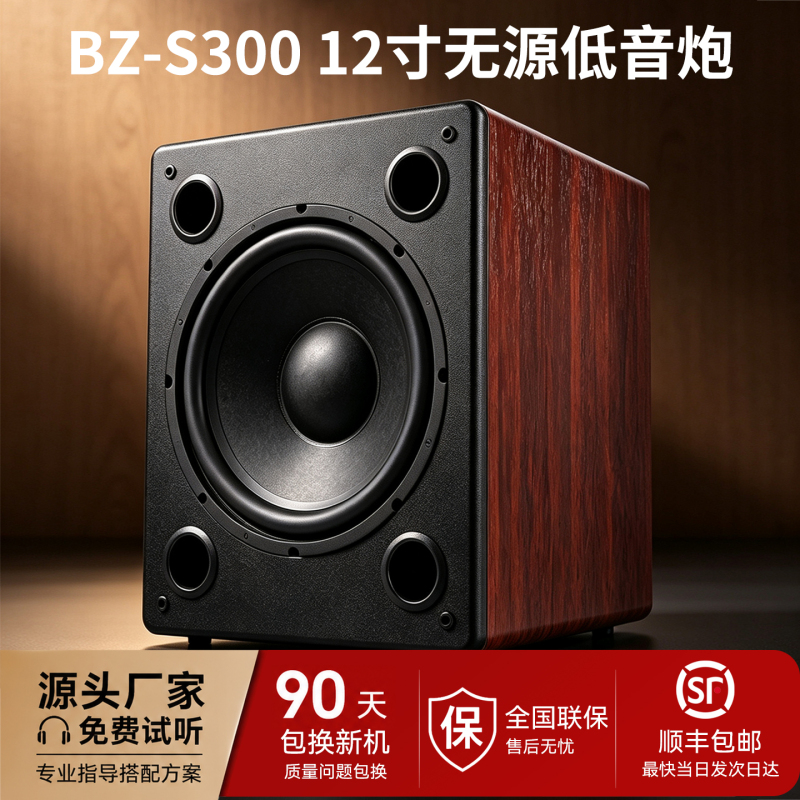 Weiliang Audio Brzhifi Bz-S 300-12inch Passive Subwoofer Speaker