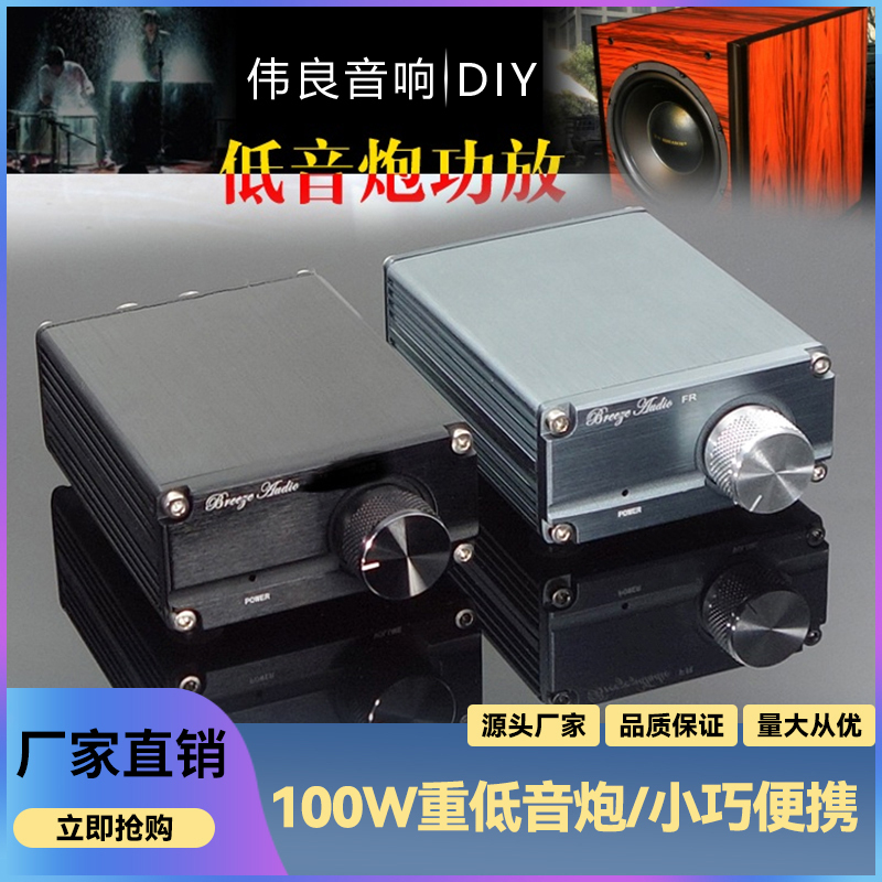 Weiliang B3 100W Hifi Audiophile Audio Professional Subwoofer Class D Digital Amplifier High-Power Amplifier