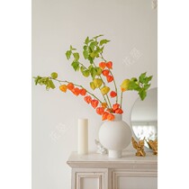 Flowers to the Netherlands imported fresh sour berries flowers water autumn fruits autumn color flower arrangements National Shunfeng