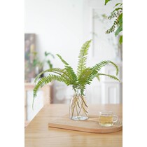 Flower summer hipster green flower grass grass flowers water water culture Chinese Zen flower arrangement National Shunfeng Express