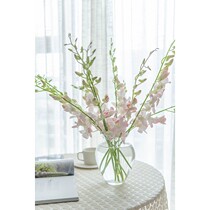 Flower Light pink Magnolia Chiyo Orchid Flower Aquatic Flower Flower Flower Flower Flower Flower Flower Flower Flower National SF Express Express