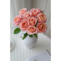 Flower pig Miss Zhu Zhu rose fresh cut flowers household flowers water flower arrangement National Shunfeng