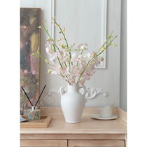 Flower Light pink orchid flowers Thailand imported flowers water home flower arrangement National SF Express