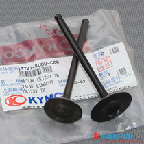 Gwangyang Original Dongli International Street Runner Aqili Shupa Curved 2V Road Hunter Intake and Exhaust Valve