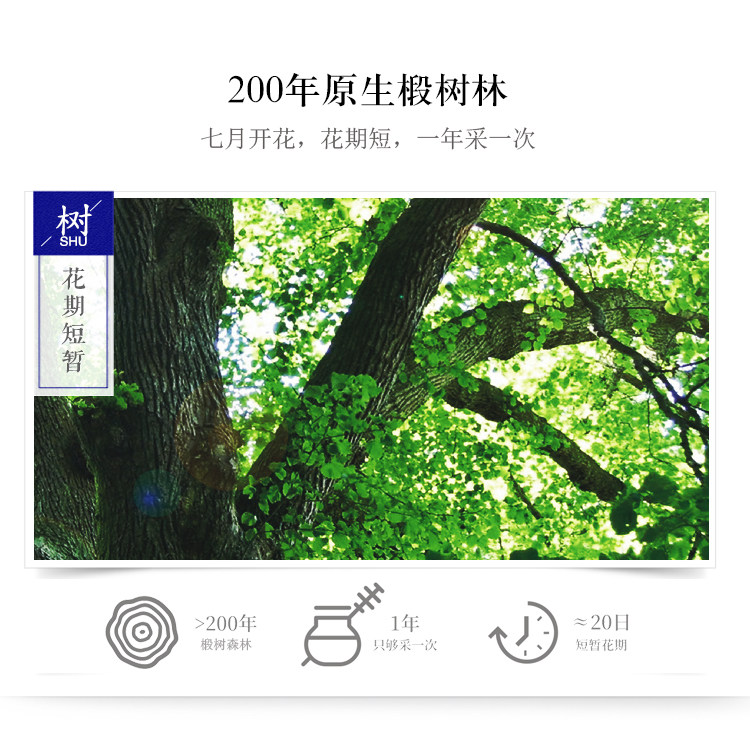 2019世界食品品质金奖  虎标 俄罗斯进口椴树蜂蜜 350g 图5