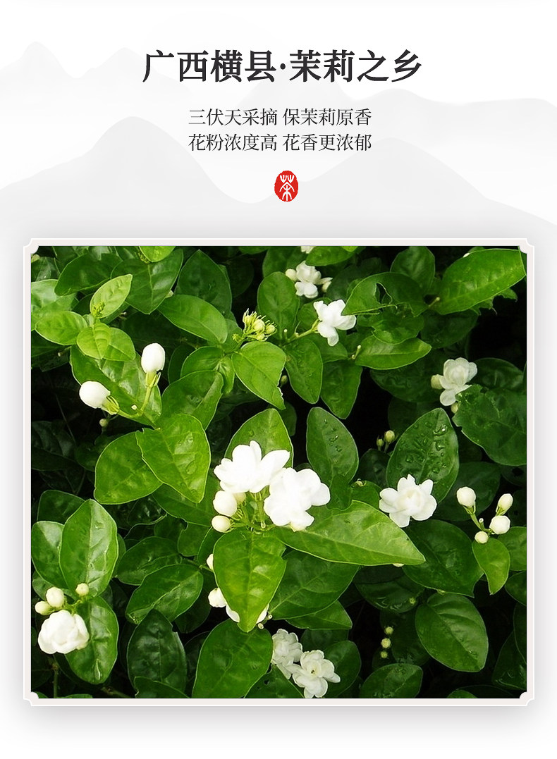 国家地理标志产品 虎标 紧压寿眉福鼎白茶饼 100g 图5