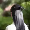 Fairy simple ebony hairpin hairpin costume plate hair daily wild Super fairy ancient style headdress gift female classical