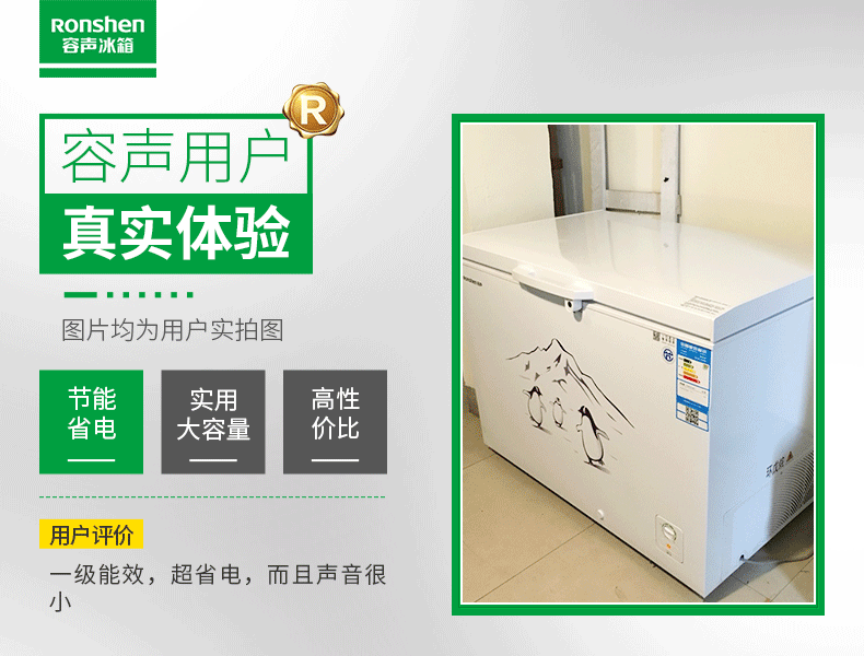tủ đông công nghiệp Tủ đông lạnh Ronshen / Rongsheng BD / BC-309MD Tủ đông thương mại Hộ gia đình công suất lớn Tủ đông lạnh ngang - Tủ đông giá tủ lạnh sanaky