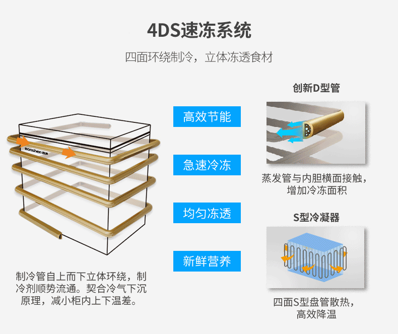 Ronshen / 容 SD-303H / H tủ đông lạnh ngang và tủ đông lạnh thương mại - Tủ đông giá tủ lạnh sanaky
