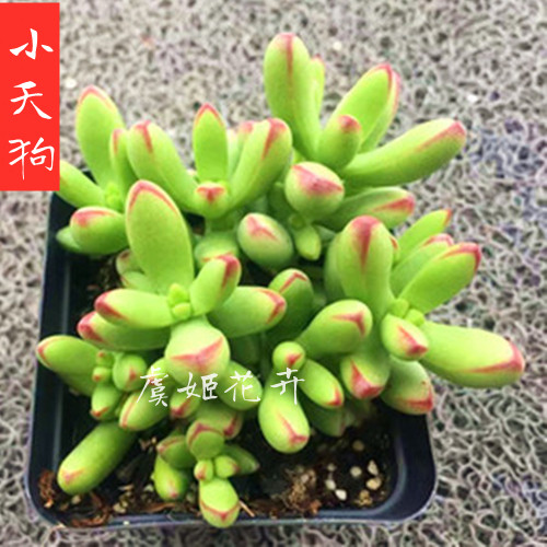 阿里巴巴达摩院负责人：揭秘科技界的神秘大佬，普通人也能读懂的宝藏内容！