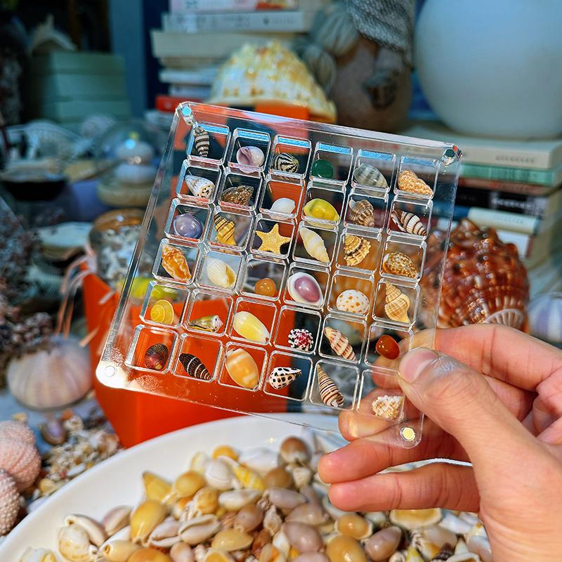 【Complete Set with Shells, No Duplicates】Acrylic 36-Compartment Ultra-Small Shell, Conch, and Micro-Shell Specimen Storage Box