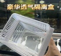 Guppy delivery room in self-floating isolation breeding box fish tank transparent delivery room small fish avoid isolation box delivery room