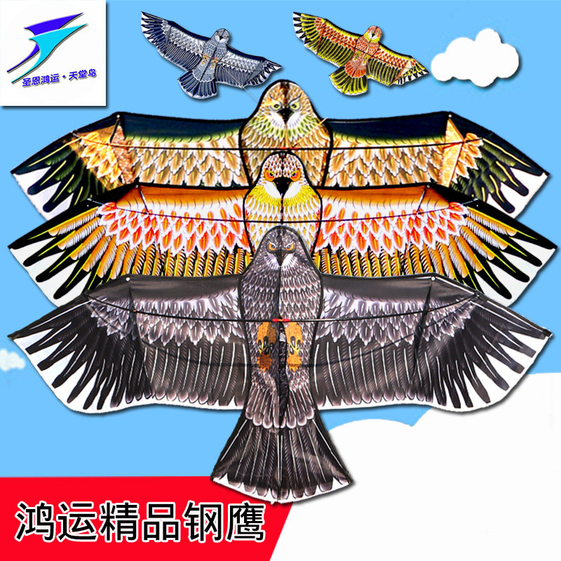 Weifang Eagles Kite Children Cartoon Adult Kite with large Weifang Diy