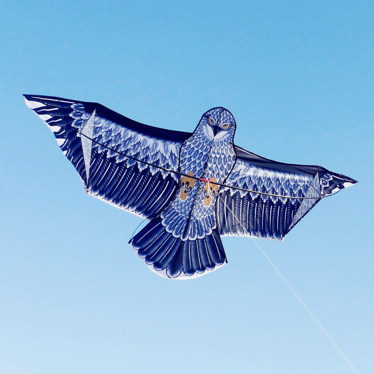 Weifang Eagles Kite Children Cartoon Adult Kite with large Weifang Diy