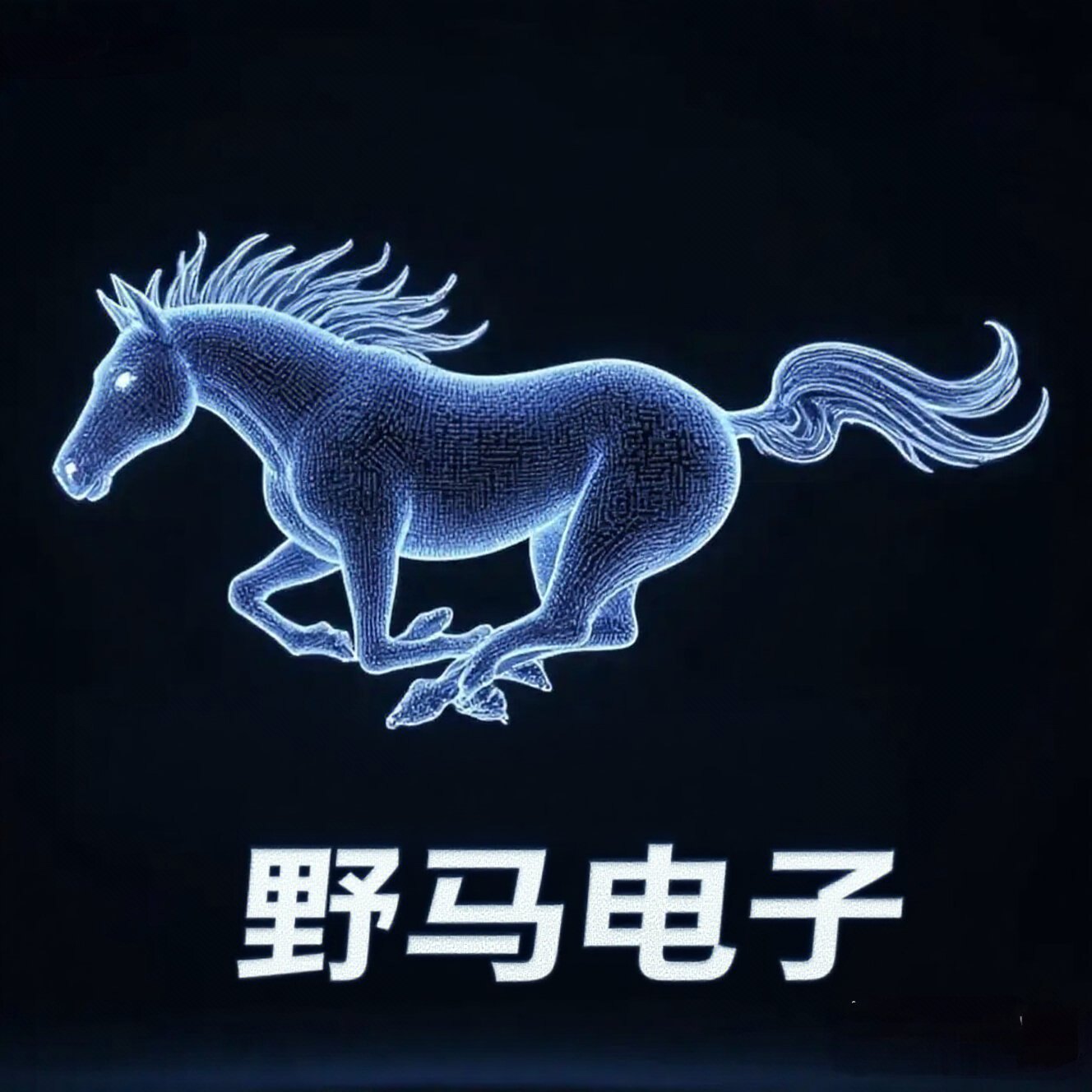 野马电子音响器材设备