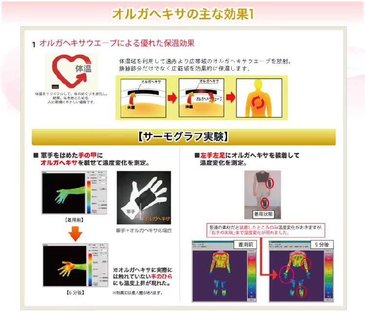 Ｅｌｌｅ玫瑰Bfオルガヘキサボディサポーター