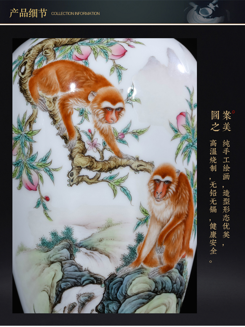 The Teacher handpainted pastel monkey sitting room porch rich ancient frame of new Chinese style decoration vase of jingdezhen ceramics furnishing articles