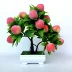 Mô phỏng Trái cây Nhựa Hoa giả Cây may mắn Shou Peach Buddha Flower Peach Peach Fruit Fruit Fake Fake Tree Orange - Hoa nhân tạo / Cây / Trái cây cây oliu giả Hoa nhân tạo / Cây / Trái cây