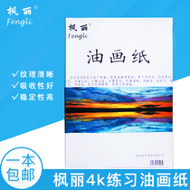 Fengli oil painting paper art painting pigment acrylic oil painting practice drawing paper 4K sketching painting oil canvas exercise paper