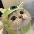 diy创意小百货