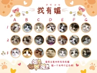 Оранжевый - Найдите домашних животных 30x40 см - односторонняя достоверная доставка КТ.