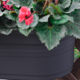 Huolun wall hanging pot plastic flower pot hanging wall ລາຄາພິເສດ pot frosted pot hanging flower planting pot hanging orchid pot hanging pot