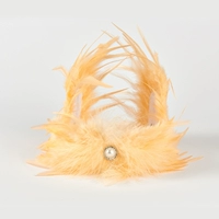 Элегантный цвет шампанского