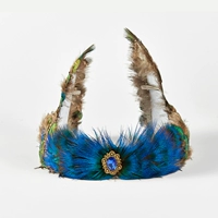 Высокий павлинский голубой золотой цвет