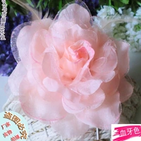 Кровопролитые зубы